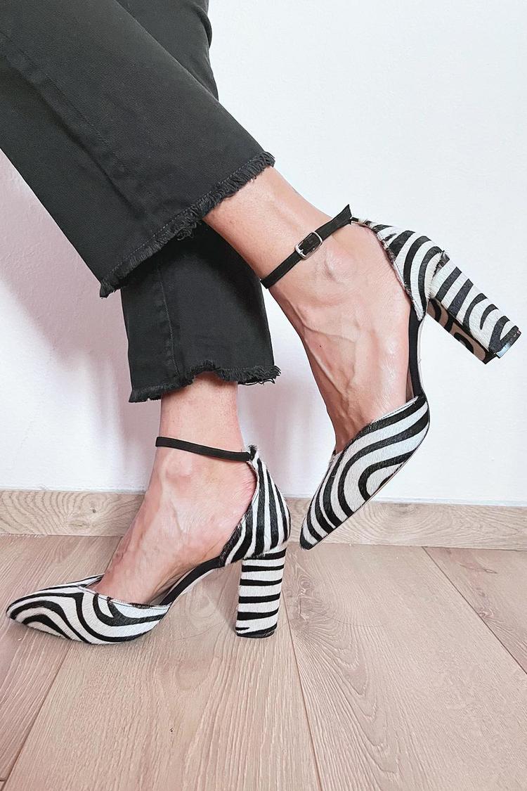 Zebra / 5